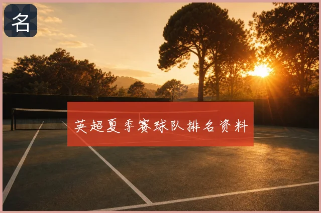 英超夏季赛球队排名资料